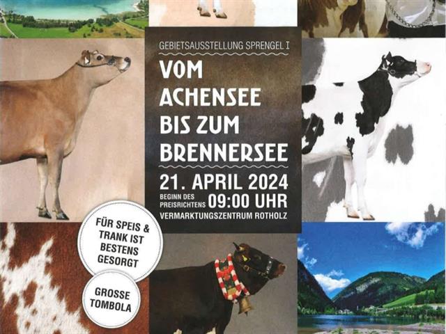 verschieden Bilder von Kühen und Seen, in der Mitte Information zur Ausstellung